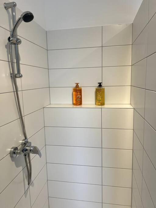 Appartement Duplex Avec Jardin Ingersheim Eksteriør billede