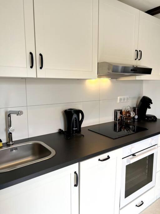 Appartement Duplex Avec Jardin Ingersheim Eksteriør billede