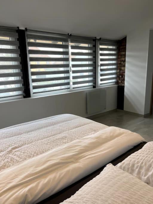 Appartement Duplex Avec Jardin Ingersheim Eksteriør billede